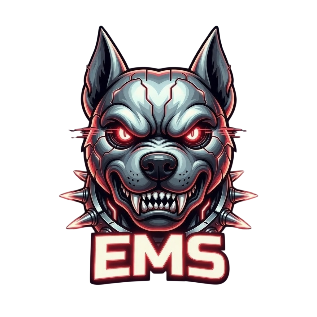 EMS Watchdog